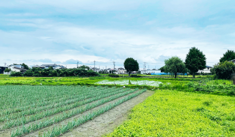群馬県は「日本一の埴輪県」！？お家づくりで知っておきたい埋蔵文化財について