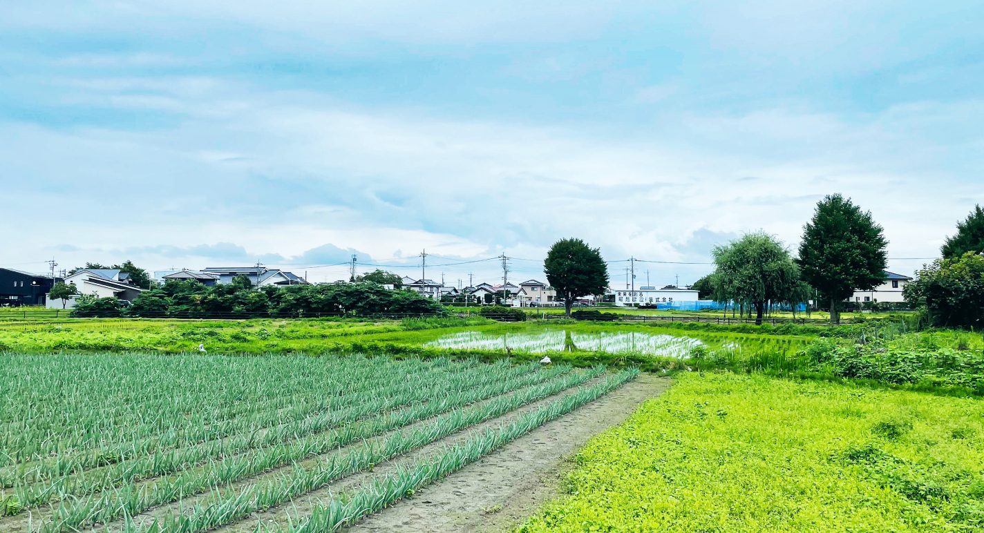 群馬県は「日本一の埴輪県」！？お家づくりで知っておきたい埋蔵文化財について